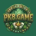 PK8 Game
